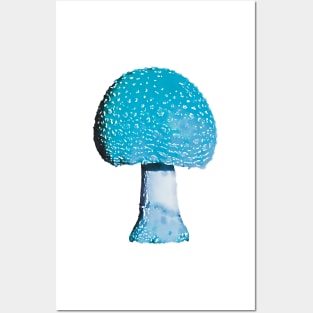Turquoise Blue Mushroom Amanita Posters and Art